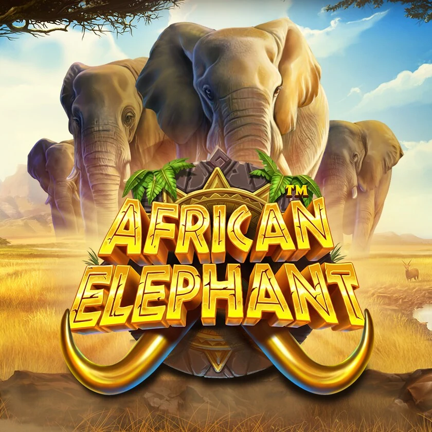 African Elephant